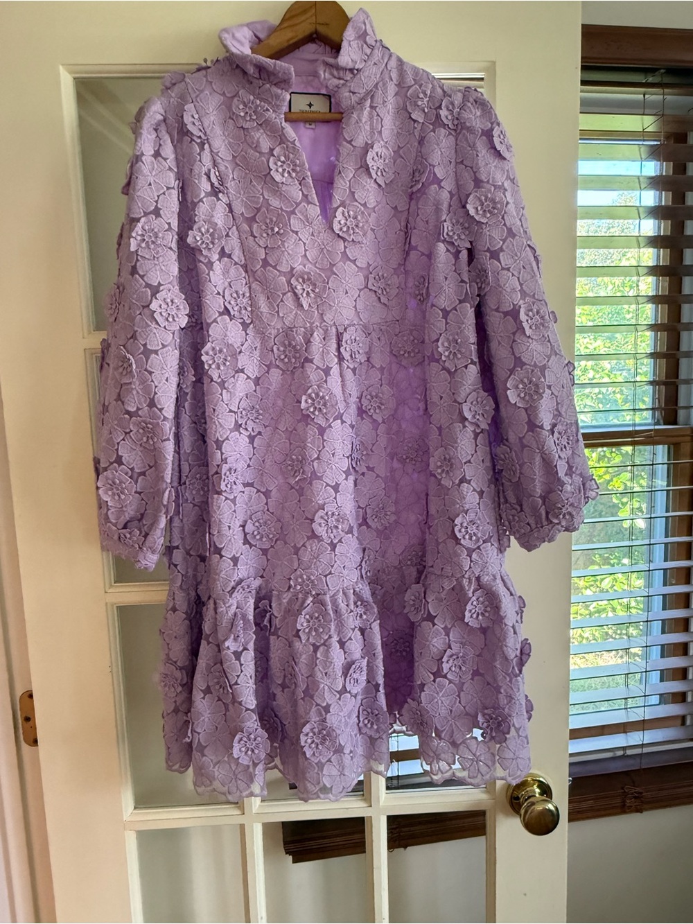 Tuckernuck Lilac 3D Floral Lace Ruffle Dress